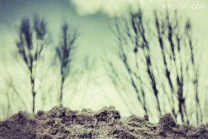 knynk 13.010, geselecteerde foto voor fotoroute 'Knipoog naar Gaasterland'